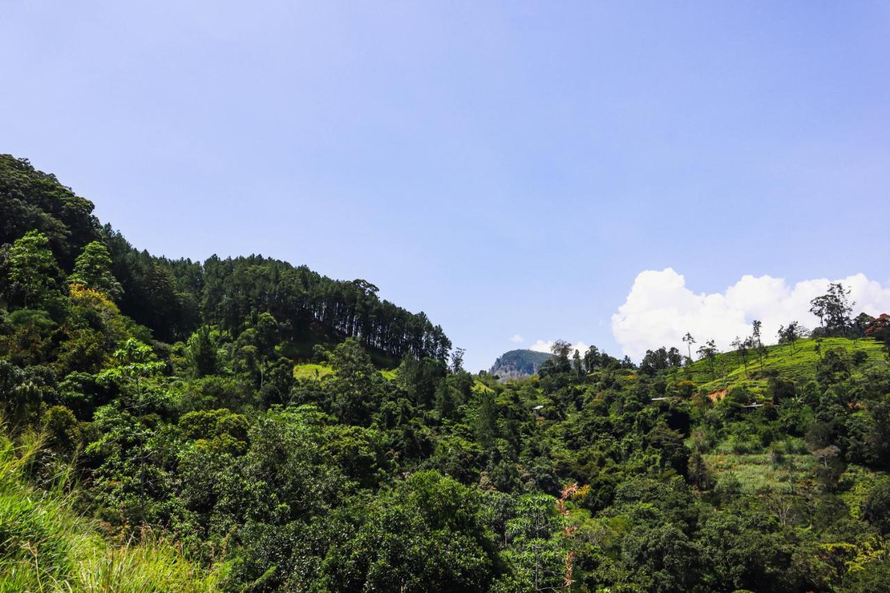 Nature Walk Ella Bagian luar foto
