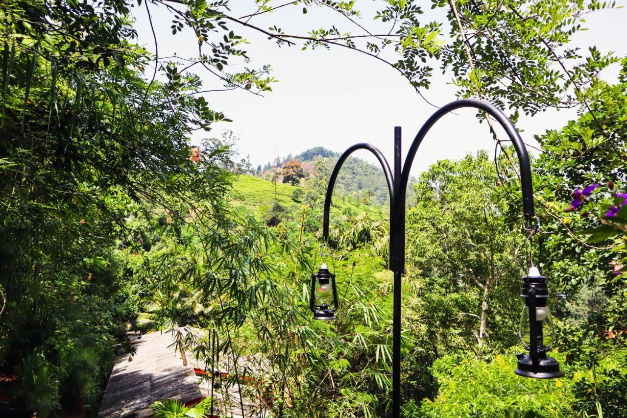 Nature Walk Ella Bagian luar foto